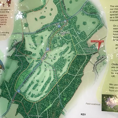 High Elms country park map